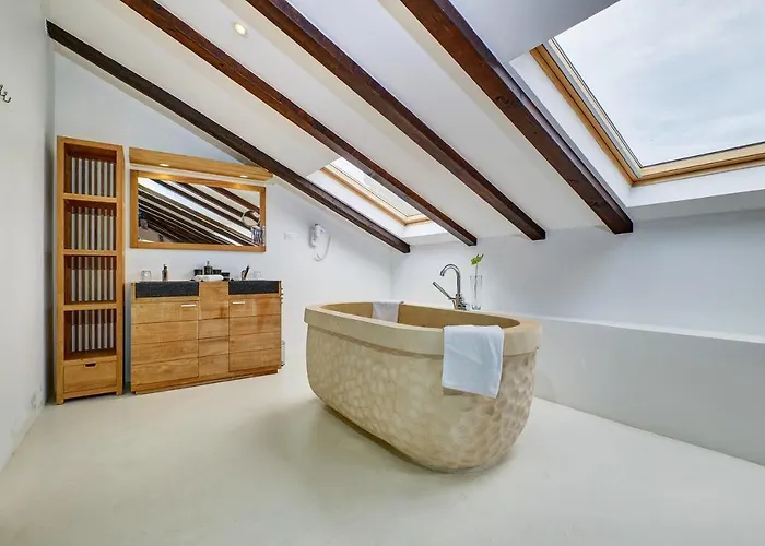 Dolphin Veli Lošinj