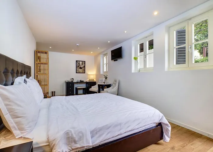 Dolphin Veli Lošinj