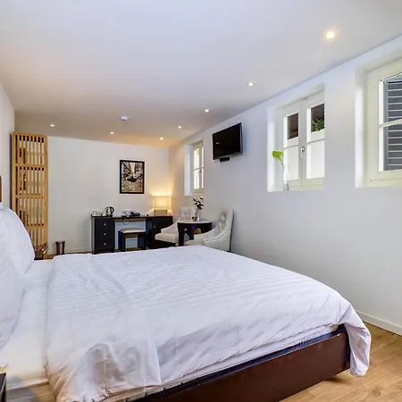 Dolphin Veli Lošinj