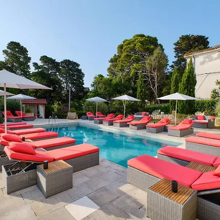 Dolphin Veli Lošinj