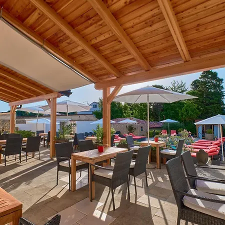 Dolphin Veli Lošinj