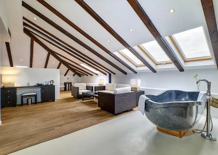 Dolphin 베리로신즈