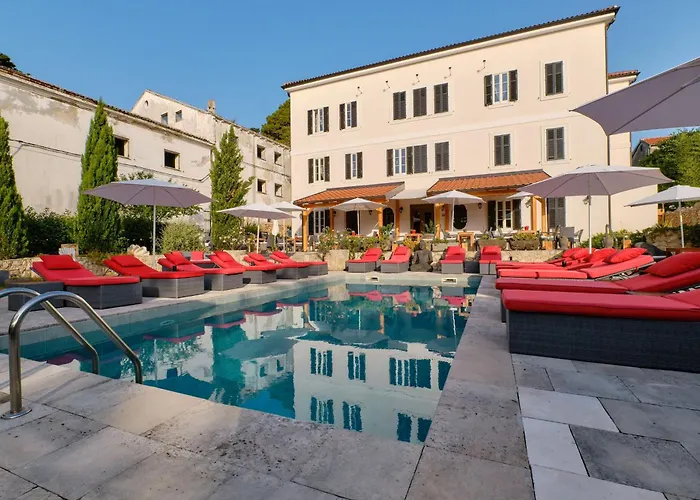 Dolphin 베리로신즈