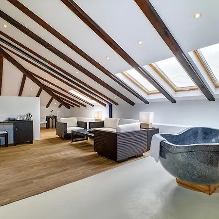 Dolphin Veli Lošinj