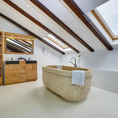 Dolphin Veli Lošinj